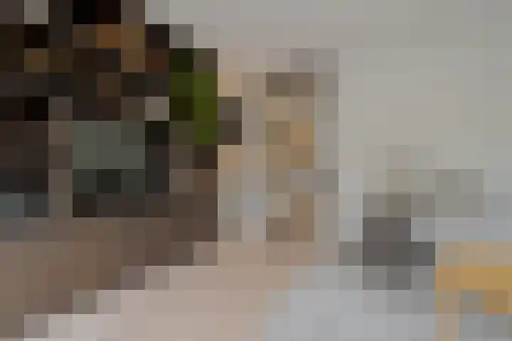 Kloostersingel 9 Assen thumbnail 26