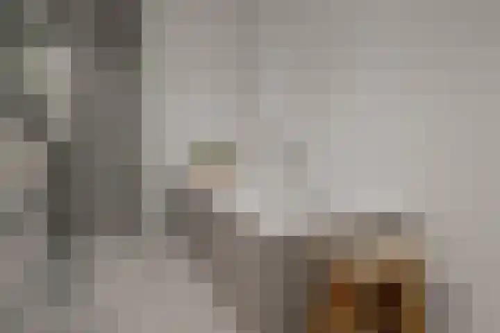 Kloostersingel 9 Assen thumbnail 39