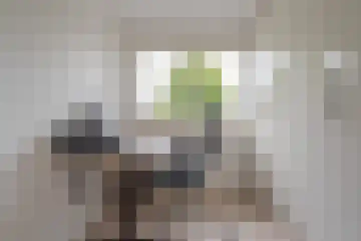 Kloostersingel 9 Assen thumbnail 40
