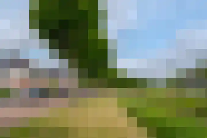 Kloostersingel 9 Assen thumbnail 6