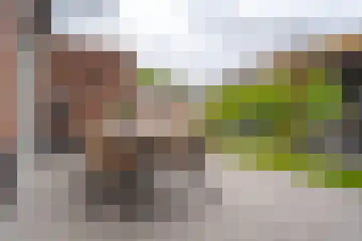 Kloostersingel 9 Assen thumbnail 60