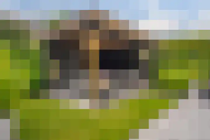 Kloostersingel 9 Assen thumbnail 63