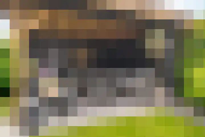 Kloostersingel 9 Assen thumbnail 64