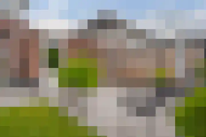 Kloostersingel 9 Assen thumbnail 68