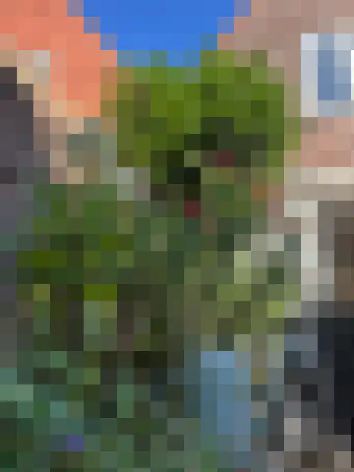 Kloostersingel 9 Dokkum thumbnail 27