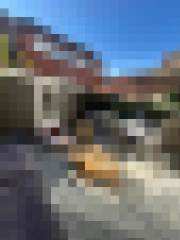 Kloostersingel 9 Dokkum thumbnail 29