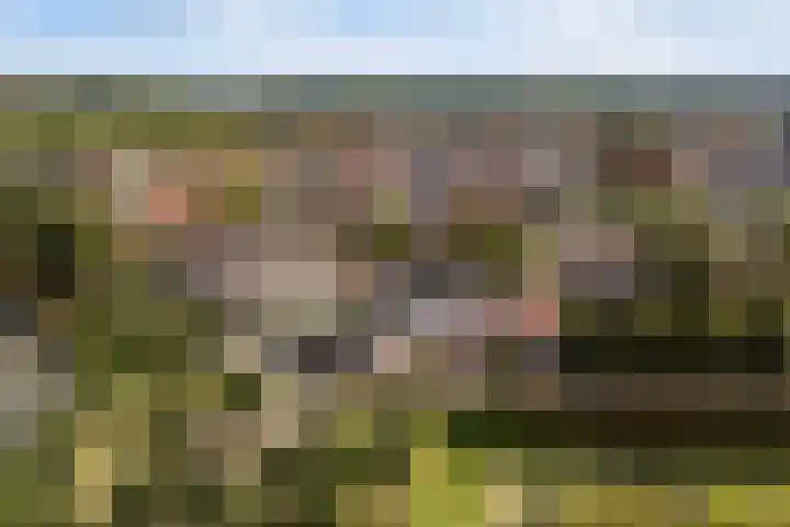 Kloostersingel 9 Dokkum thumbnail 48