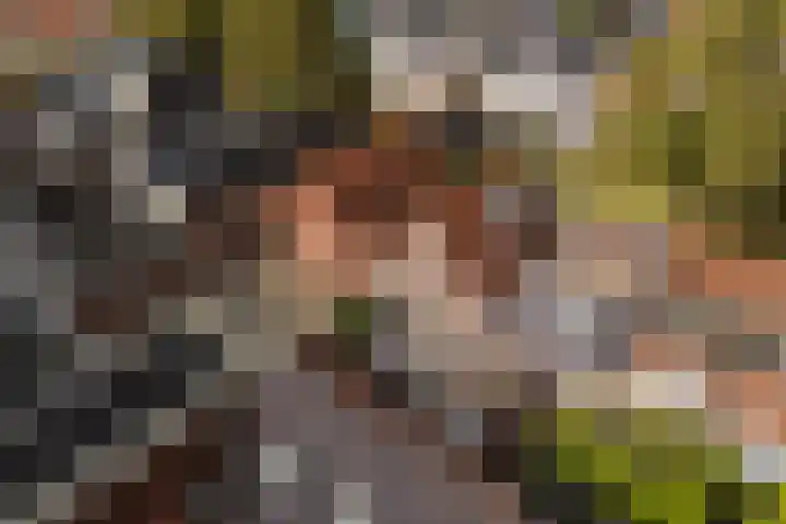 Kloostersingel 9 Dokkum thumbnail 49