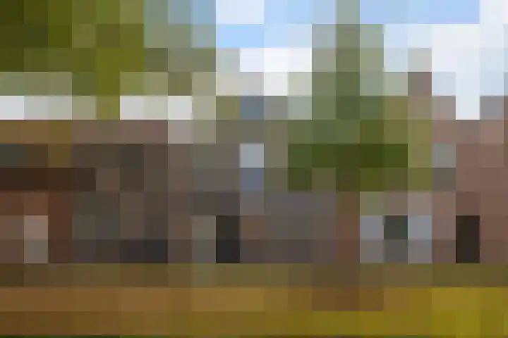 Kloostersingel 9 Dokkum thumbnail 7