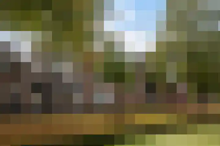 Kloostersingel 9 Dokkum thumbnail 8