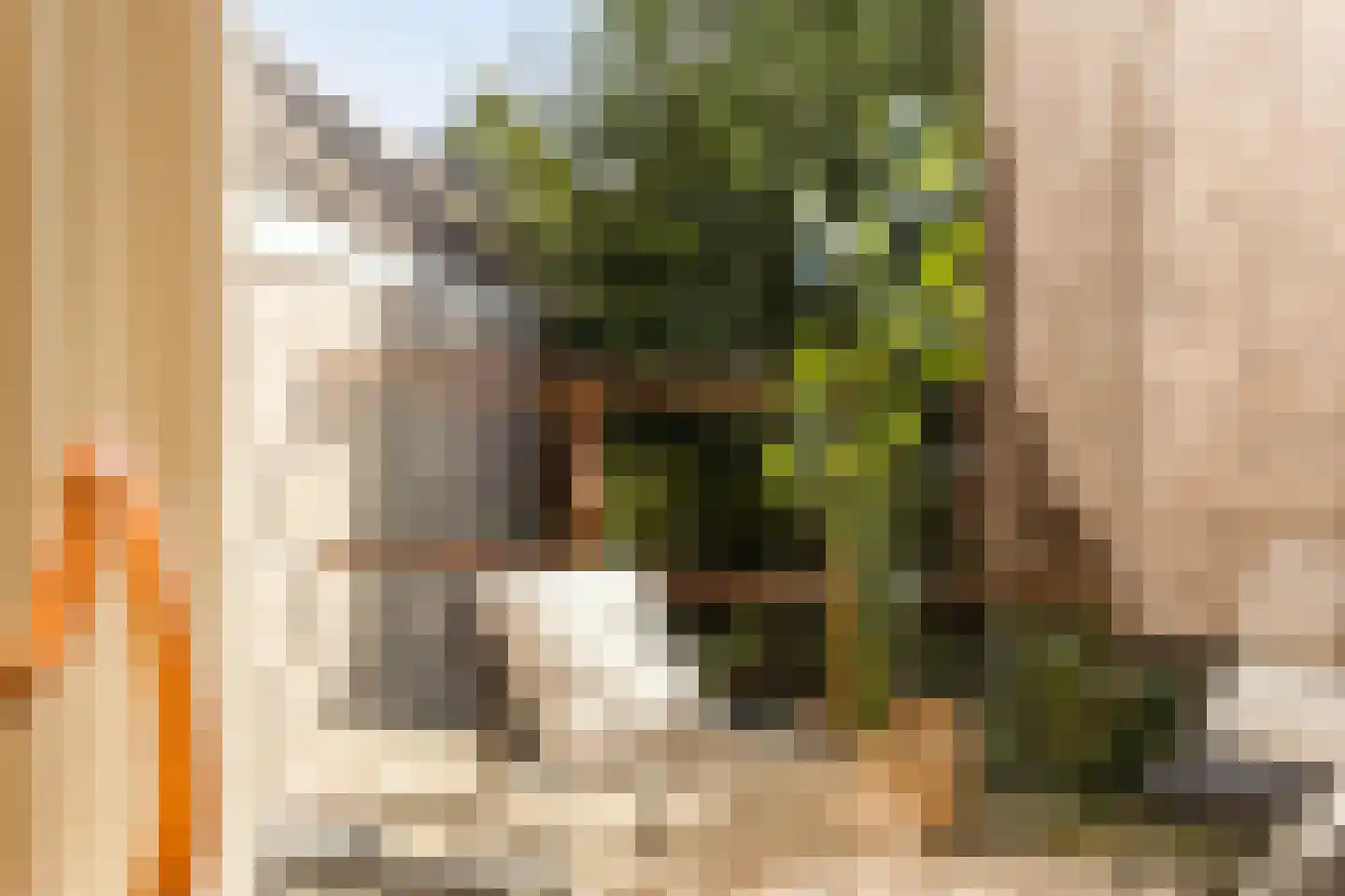 Kloostersteeg 3 Doesburg thumbnail 18