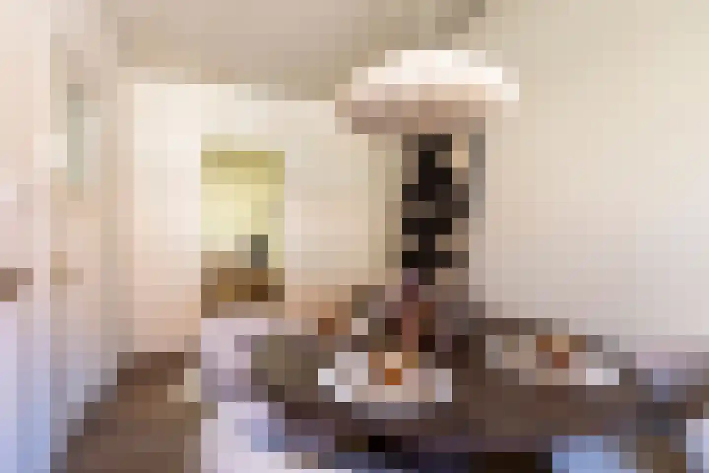 Kloostersteeg 3 Doesburg thumbnail 22