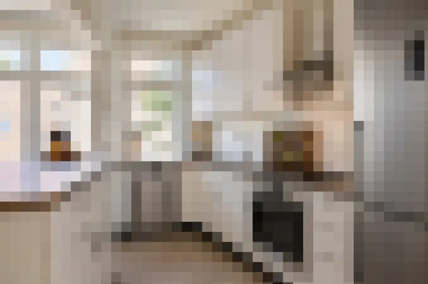 Kloostersteeg 3 Doesburg thumbnail 26