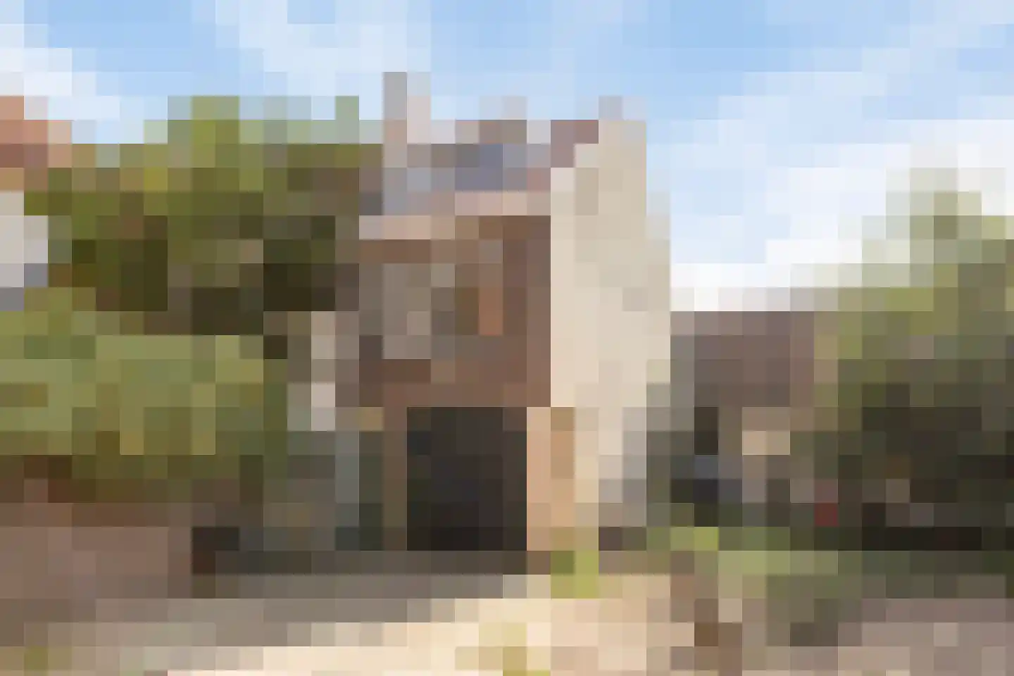 Kloostersteeg 3 Doesburg thumbnail 39