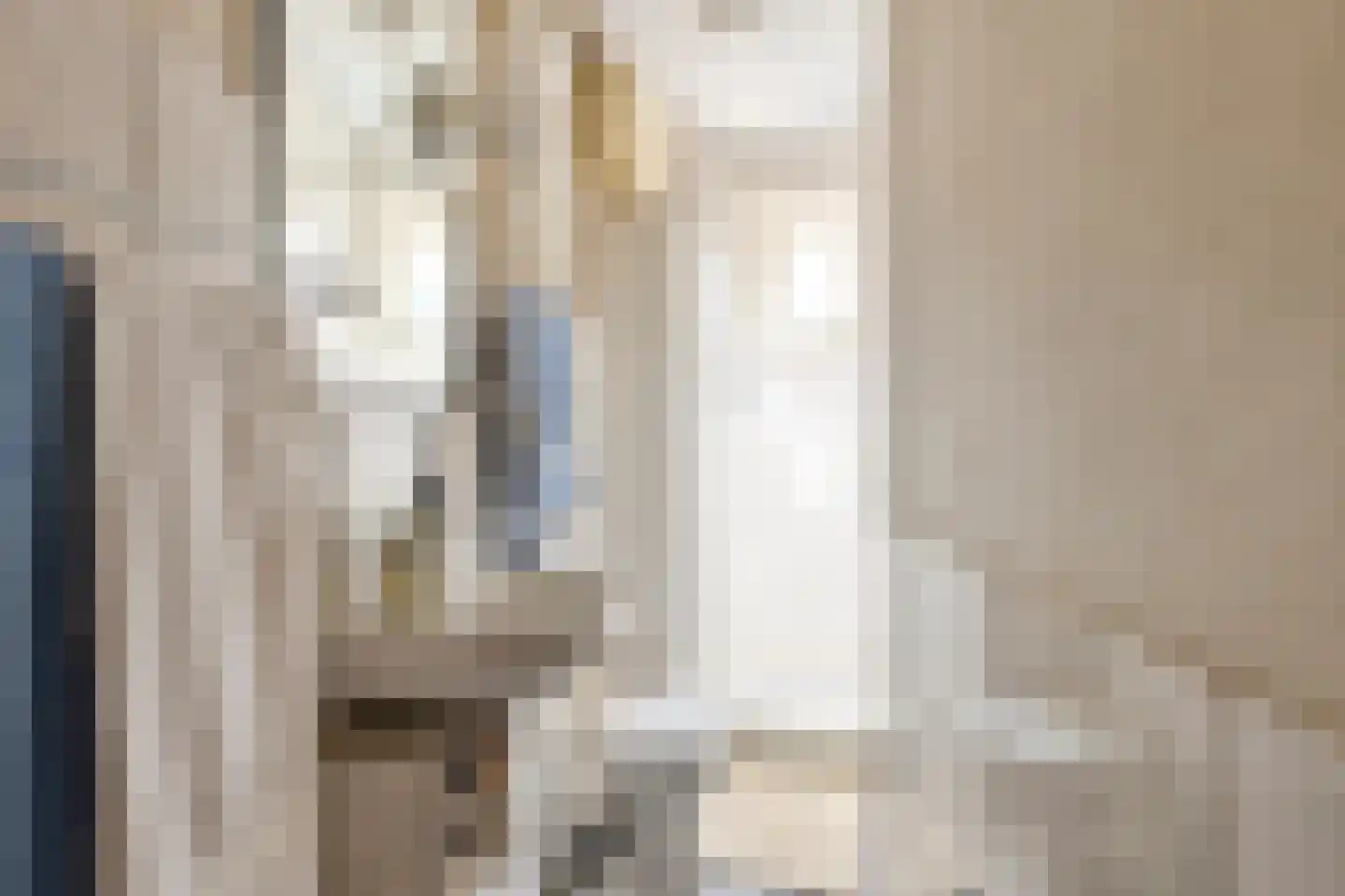 Kloostersteeg 3 Doesburg thumbnail 5