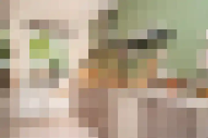 Kloosterstraat 1 b Biezenmortel thumbnail 6