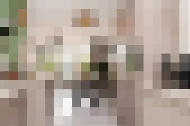 Kloosterstraat 1 b Biezenmortel thumbnail 8