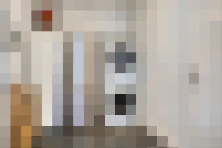 Kloosterstraat 1 Hansweert thumbnail 18