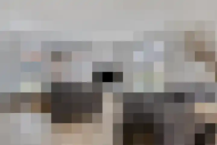 Kloosterstraat 1 Hansweert thumbnail 9