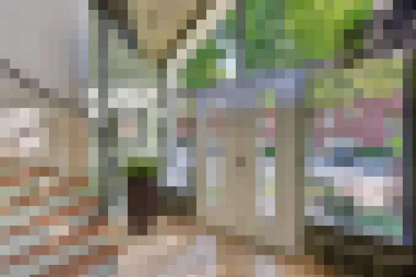 Kloosterstraat 1 Oirschot thumbnail 10