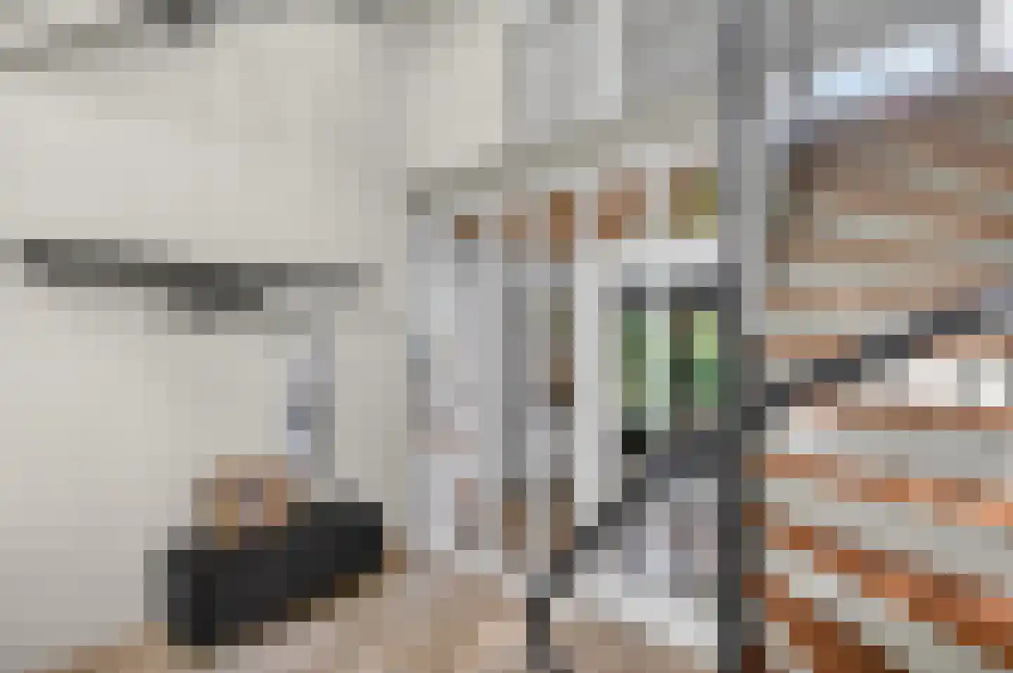 Kloosterstraat 1 Oirschot thumbnail 11