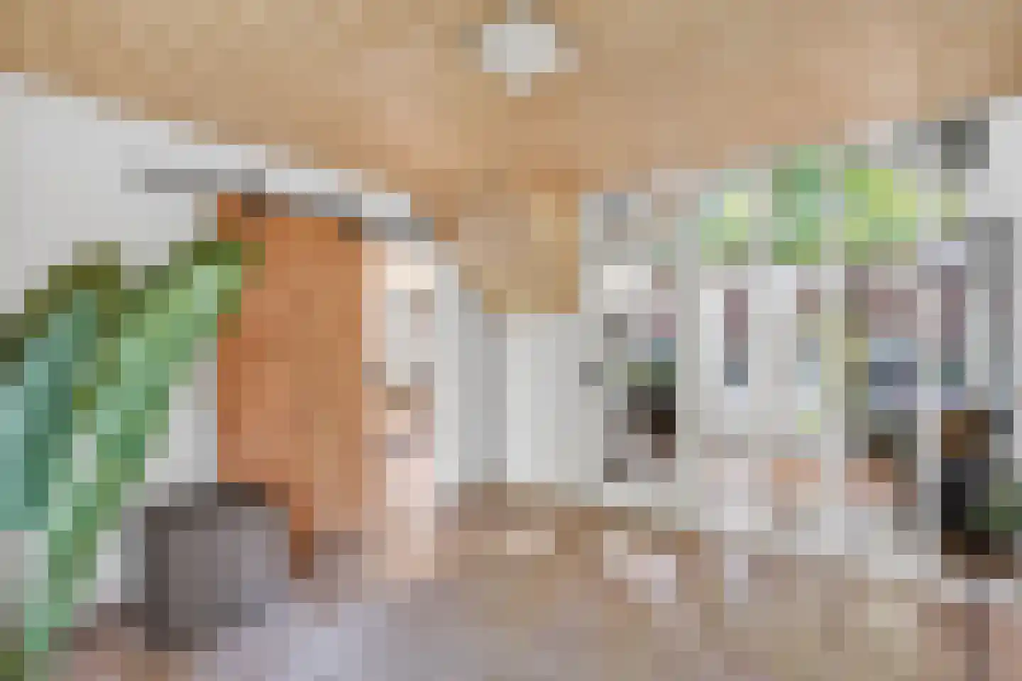 Kloosterstraat 1 Oirschot thumbnail 12