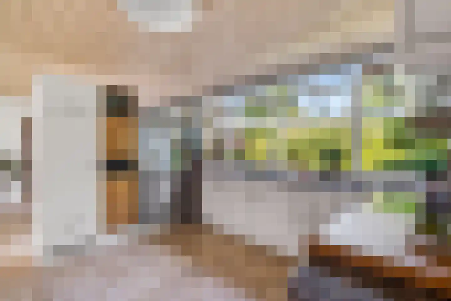 Kloosterstraat 1 Oirschot thumbnail 20