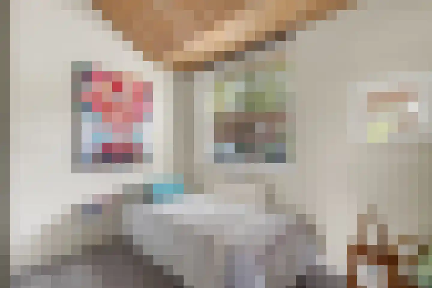 Kloosterstraat 1 Oirschot thumbnail 34