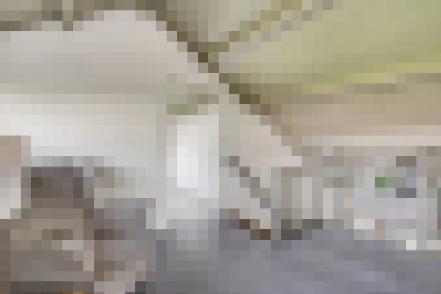 Kloosterstraat 1 Oirschot thumbnail 37