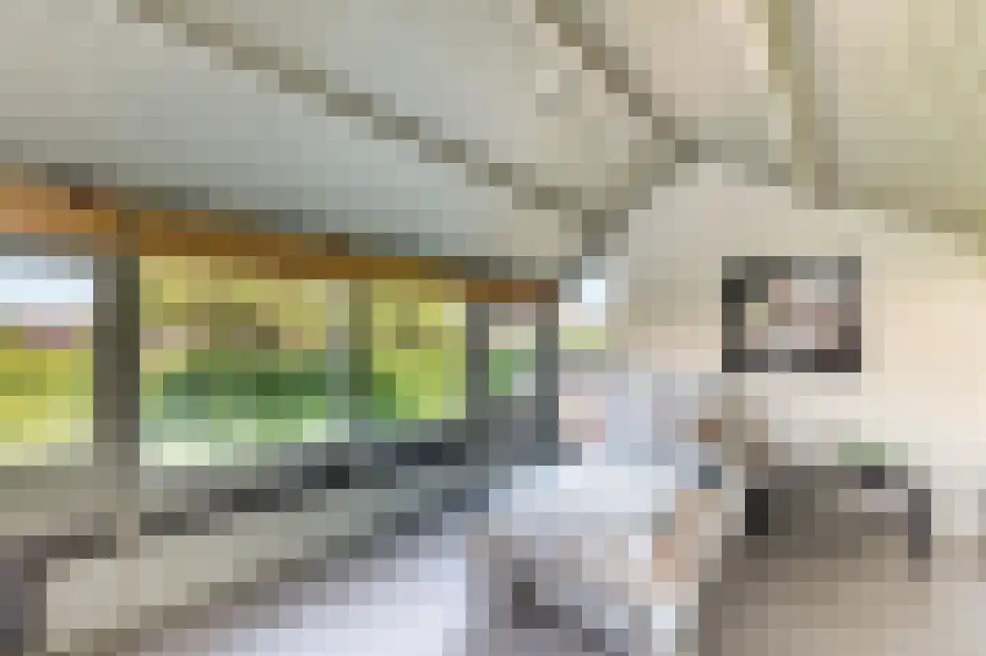 Kloosterstraat 1 Oirschot thumbnail 42