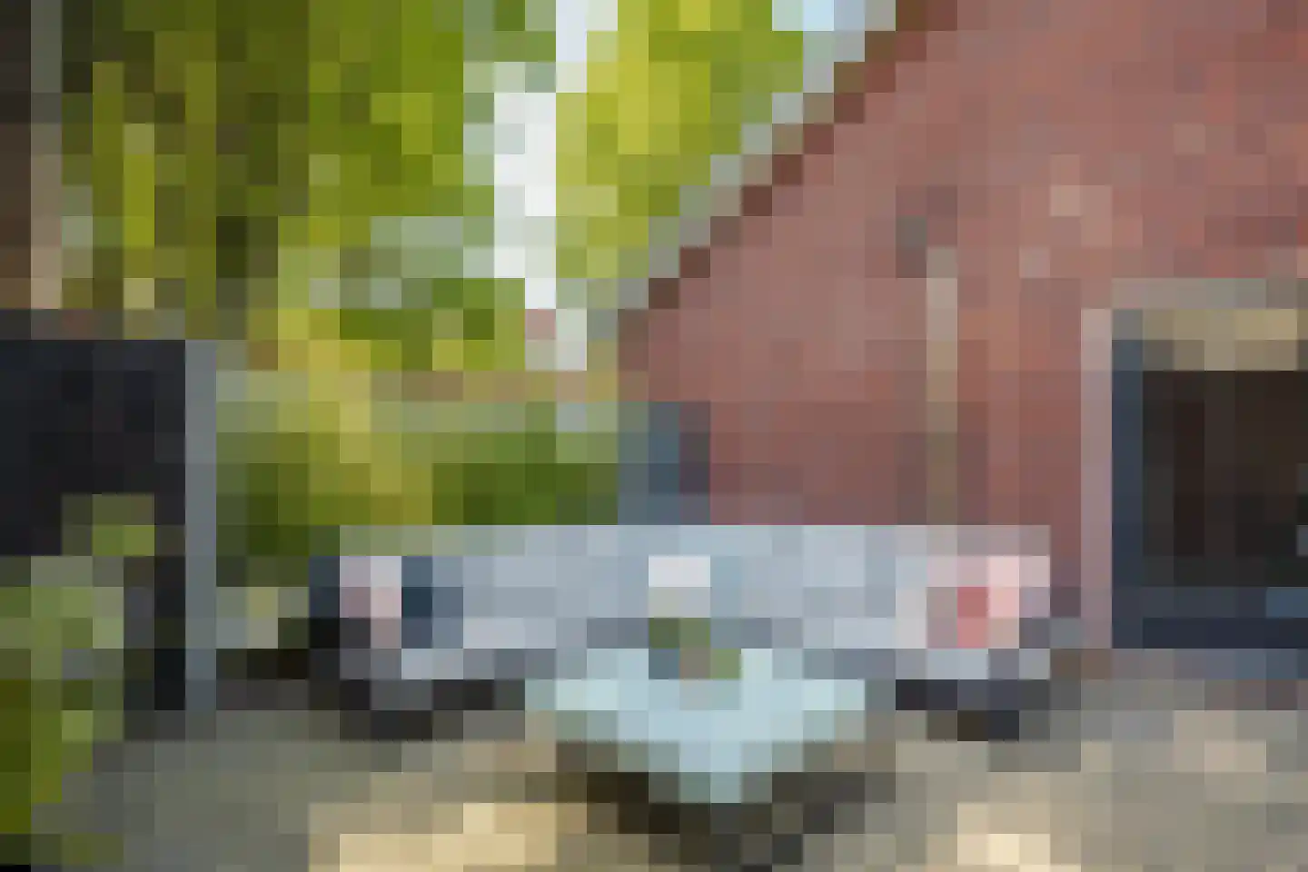 Kloosterstraat 1 Oirschot thumbnail 55