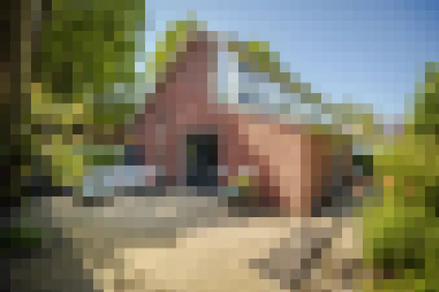 Kloosterstraat 1 Oirschot thumbnail 56