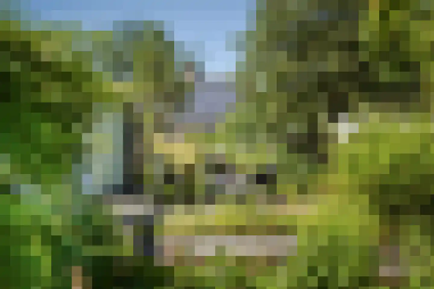 Kloosterstraat 1 Oirschot thumbnail 60