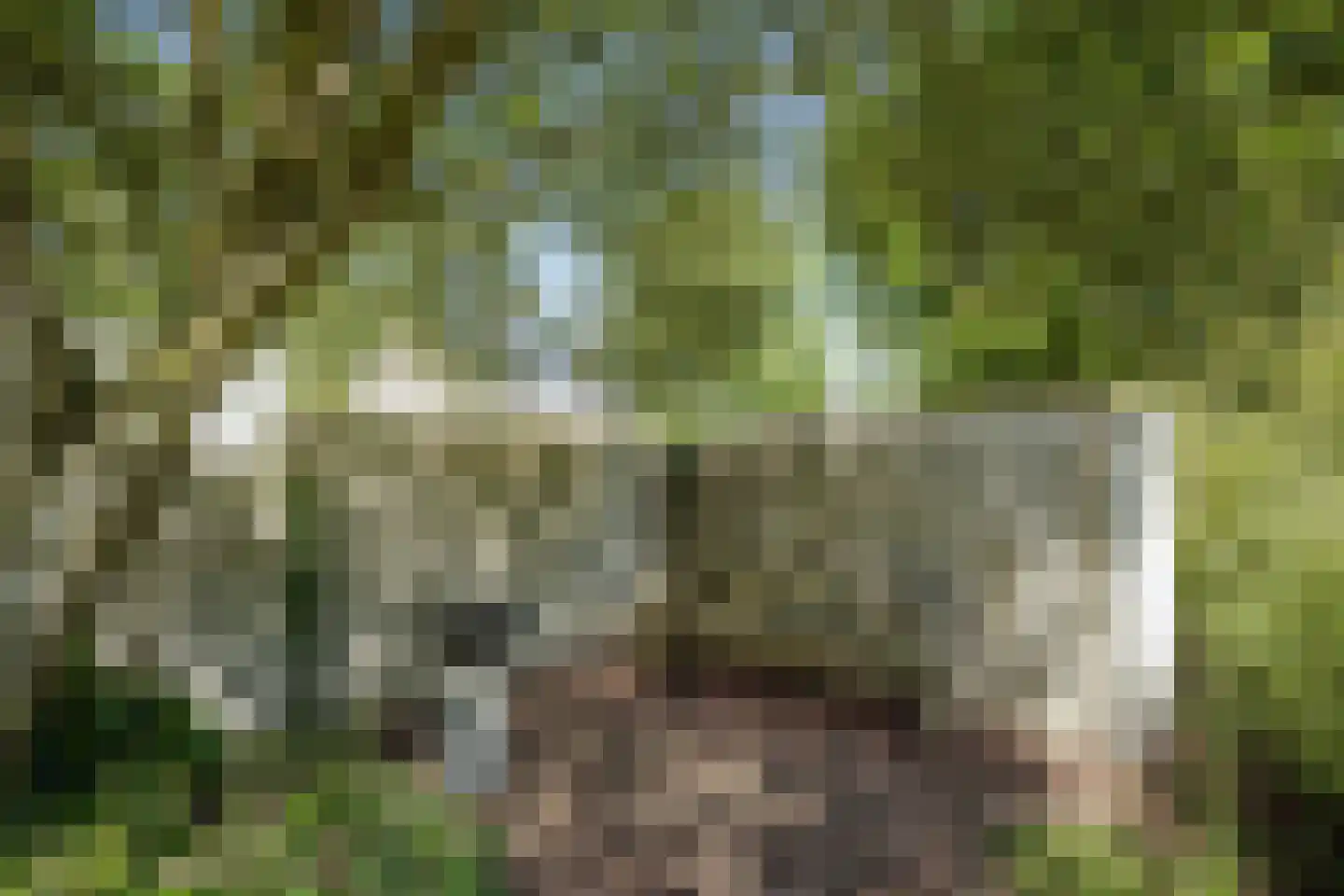 Kloosterstraat 1 Oirschot thumbnail 65