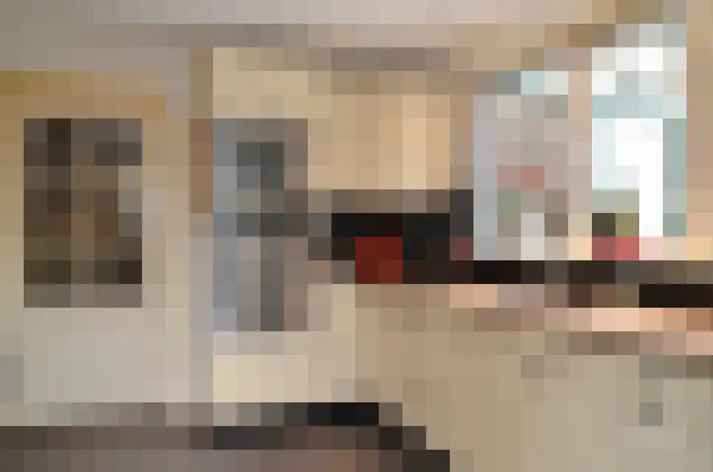 Kloosterstraat 1 Ruinen thumbnail 13