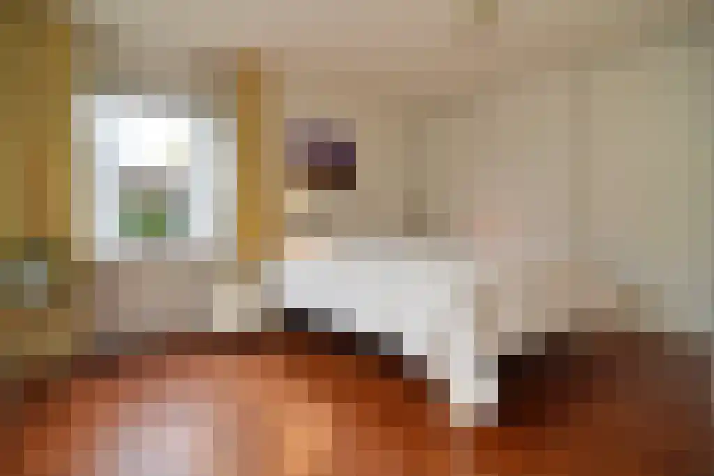 Kloosterstraat 1 Ruinen thumbnail 15