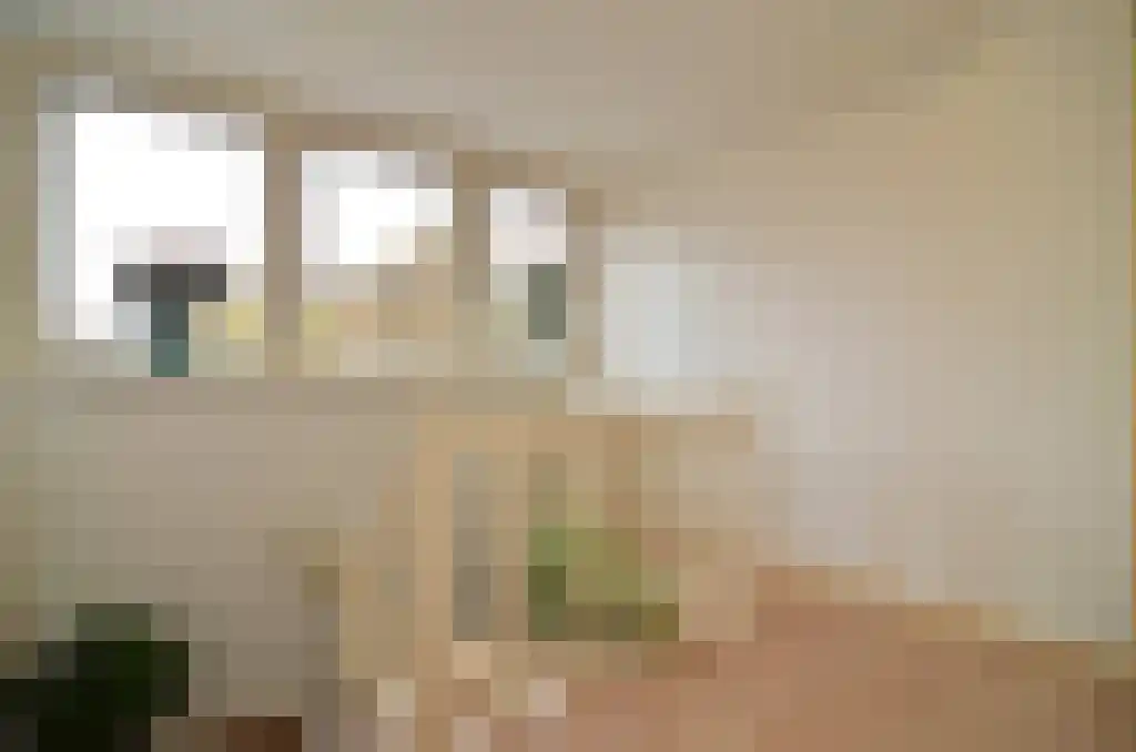 Kloosterstraat 1 Ruinen thumbnail 19