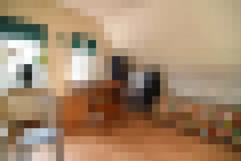 Kloosterstraat 1 Ruinen thumbnail 20
