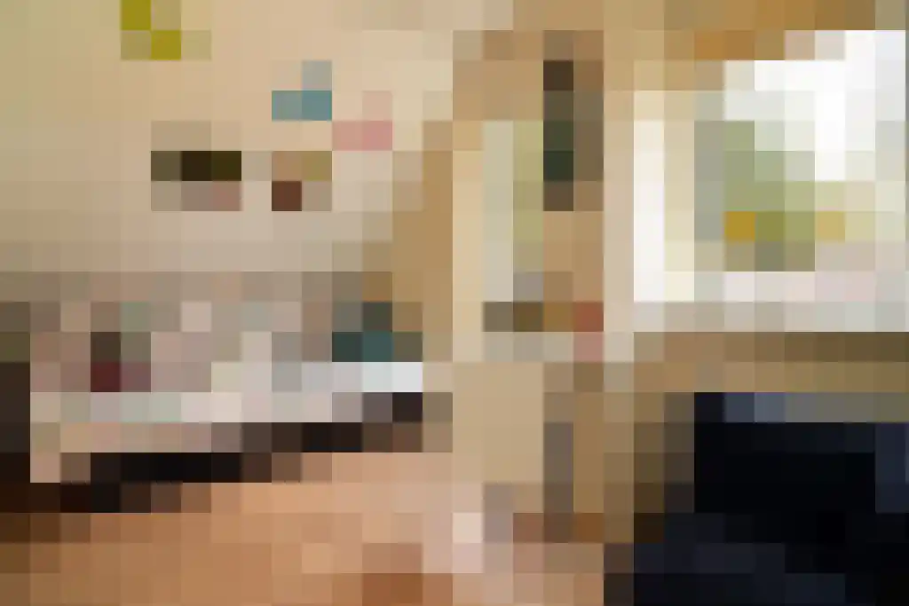 Kloosterstraat 1 Ruinen thumbnail 24