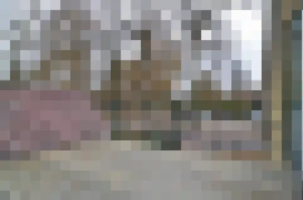 Kloosterstraat 1 Ruinen thumbnail 26