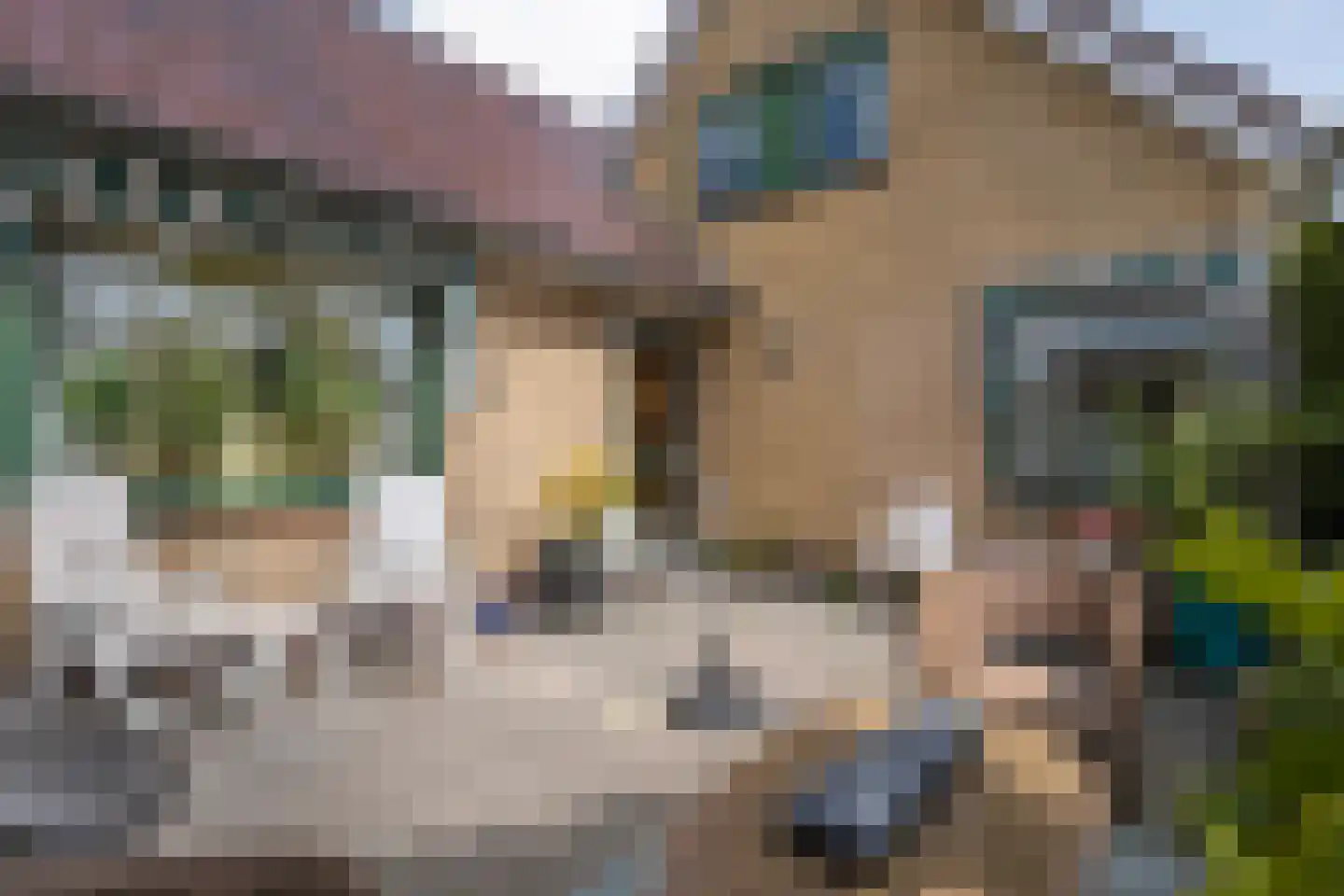 Kloosterstraat 1 Ruinen thumbnail 28