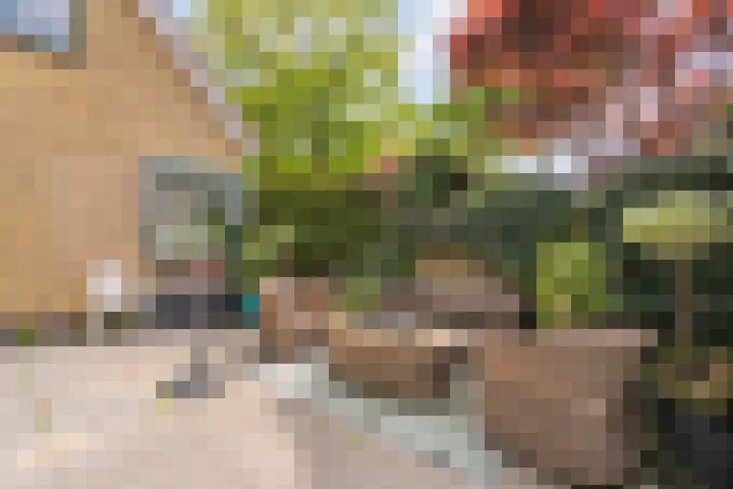 Kloosterstraat 1 Ruinen thumbnail 29