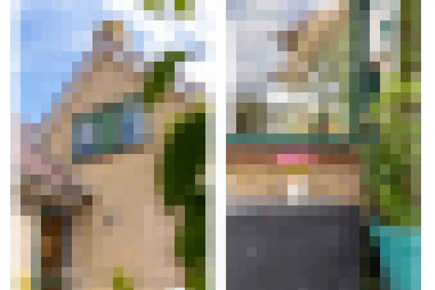 Kloosterstraat 1 Ruinen thumbnail 31