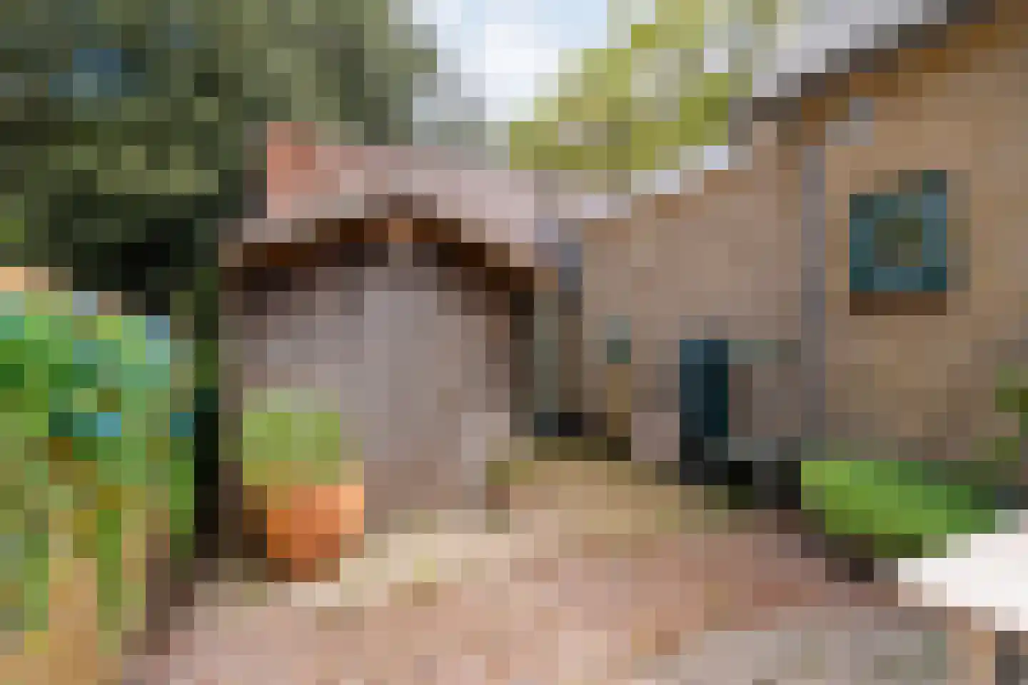 Kloosterstraat 1 Ruinen thumbnail 34