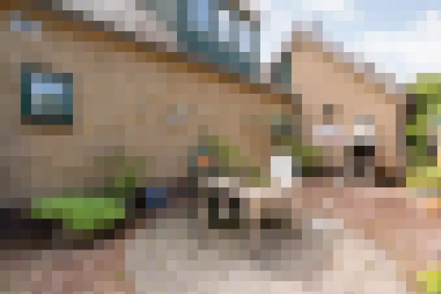 Kloosterstraat 1 Ruinen thumbnail 36