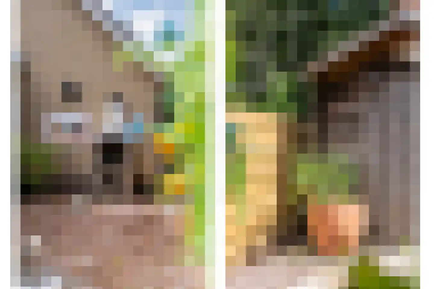 Kloosterstraat 1 Ruinen thumbnail 37