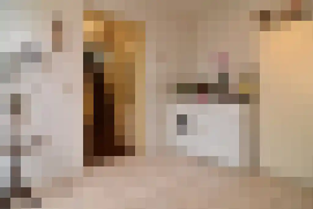 Kloosterstraat 1 Ruinen thumbnail 5