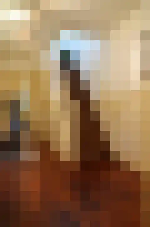 Kloosterstraat 1 Ruinen thumbnail 6