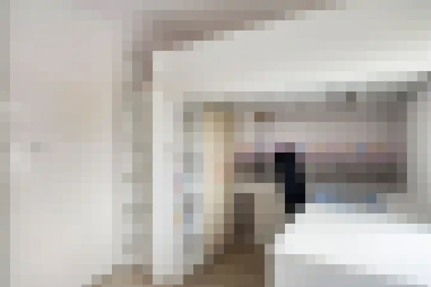 Kloosterstraat 1 Vrouwenpolder thumbnail 16