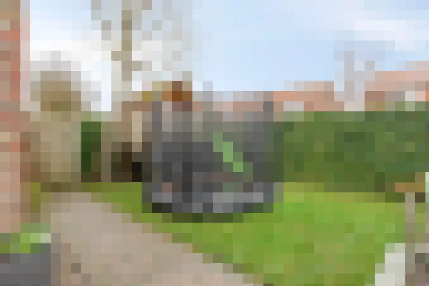 Kloosterstraat 1 Vrouwenpolder thumbnail 19